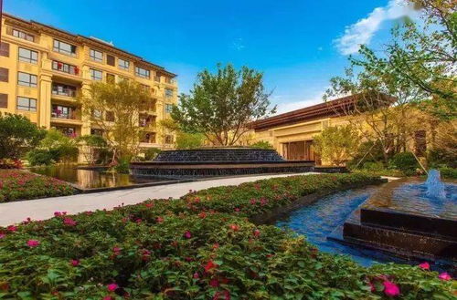 植物景觀丨這些樹(shù)種出來(lái)的藝術(shù)